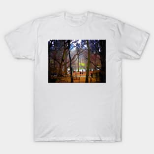 Central Park, NYC T-Shirt